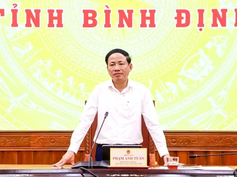 Chủ tịch tỉnh Bình Định: Doanh nghiệp xuất khẩu ‘không nên bỏ trứng vào một giỏ’