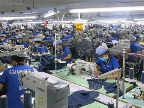 Cần giải pháp dài hạn để ứng phó chính sách thuế quan của Hoa Kỳ