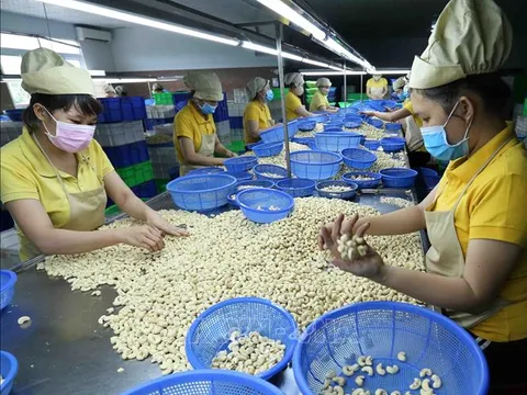 Kỳ vọng mức thuế đối ứng thấp nhất với nông sản Việt