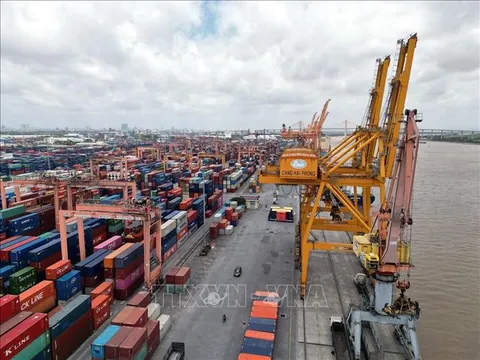 Hoa Kỳ áp thuế đối ứng 46%: Việt Nam ứng phó ra sao?