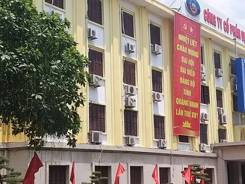 Lợi nhuận sụt giảm mạnh, MGC tăng trần 5 phiên giữa lúc hàng loạt cổ phiếu nằm sàn 