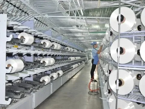 Vừa thay đổi nhân sự cấp cao, Sợi Thế Kỷ nhận tin xử phạt