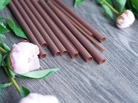 From local innovation to global export: Vietnam’s push for eco-packaging