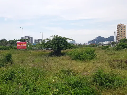 Quý I: Phân khúc đất nền, căn hộ tại Đà Nẵng diễn biến ra sao?