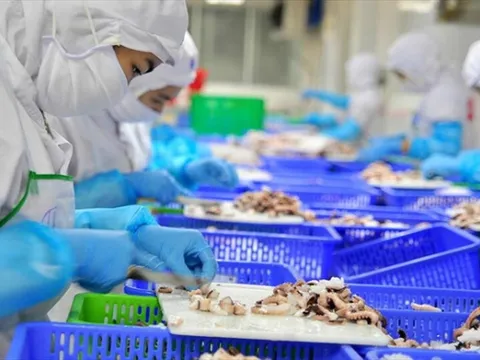 Áp lực cạnh tranh từ thuế quan của Mỹ, doanh nghiệp thủy sản đề xuất 2 gói hỗ trợ 