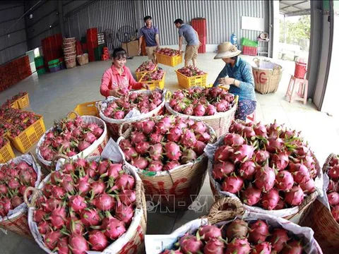 Kịch bản tăng trưởng nông nghiệp trước thuế quan của Hoa Kỳ