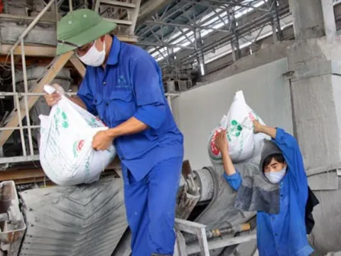 Cùng mảng phân bón, NFC Phân lân Ninh Bình lãi gần 280%, Đạm Hà Bắc DHB giảm mạnh lợi nhuận

