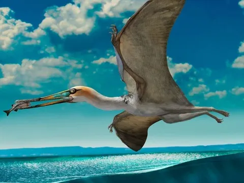 Phát hiện sinh vật kỳ bí 147 triệu năm tuổi trong mỏ đá tại Anh