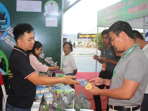 Bình Định: Vì sao hiện huyện Vân Canh không có sản phẩm đạt chứng nhận OCOP? 