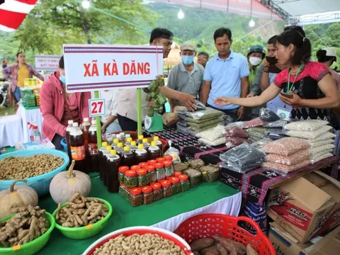 Chỉ số thương mại điện tử 2025: Chênh lệch lớn giữa các địa phương