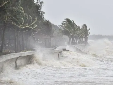 Bí ẩn phía sau những cơn áp thấp nhiệt đới: Chúng hình thành như thế nào?