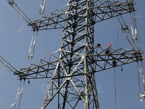 Phê duyệt chủ trương đầu tư Dự án đường dây 220kV Than Uyên - 500kV Lào Cai
