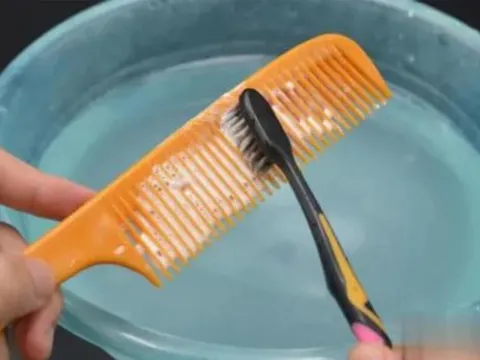 Bôi kem đánh răng lên lược, mẹo nhỏ bất ngờ giúp bảo vệ tóc và da đầu