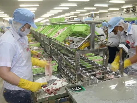 Kỳ vọng hiện thực hóa đưa kinh tế tư nhân từ 'bổ trợ' đến 'dẫn dắt' nền kinh tế
