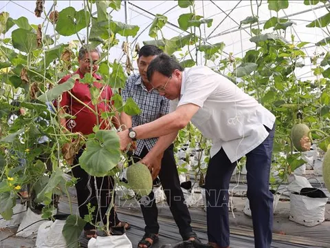 Ứng dụng công nghệ nâng cao năng suất, chất lượng nông sản
