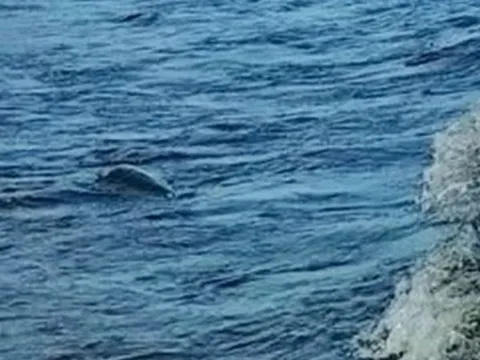 Cuộc chạm trán rợn người giữa chuyên gia và quái vật hồ Loch Ness lúc nửa đêm