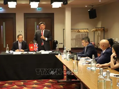 Kết nối thương mại Việt Nam - Anh: Cơ hội và thách thức trong hợp tác nông lâm thủy sản
