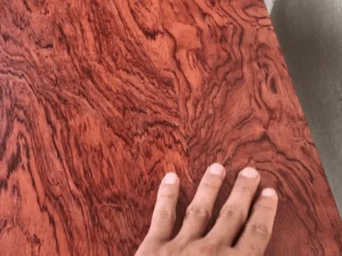 Tìm thấy cây gỗ xấu, ông lão định vứt bỏ nhưng nào ngờ là ‘báu vật’ trị giá gần 30 tỷ đồng