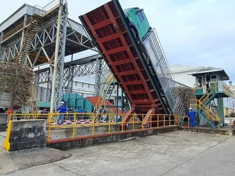 Chủ tịch VSSA: Chuỗi liên kết mía đường có nguy cơ bị huỷ hoại bởi đường lậu