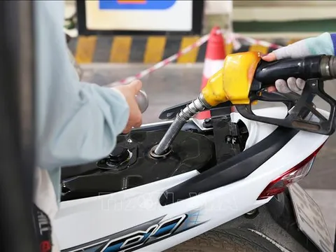 Minh bạch thị trường xăng dầu nhờ chuyển đổi số
