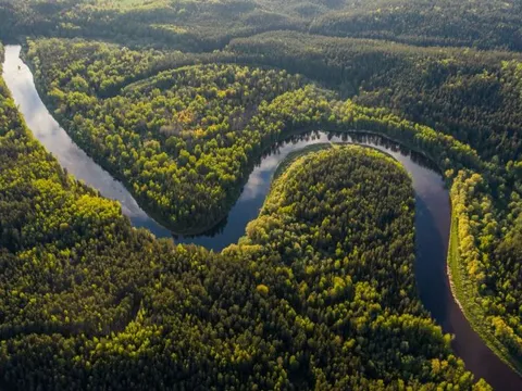 Vì sao các dòng sông không bao giờ chảy theo đường thẳng?