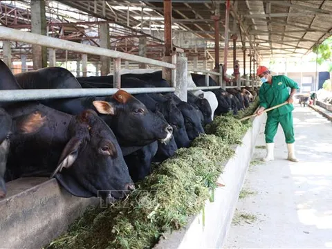 Rút ngắn khoảng cách giữa nhà sản xuất và người tiêu dùng sản phẩm nông sản
