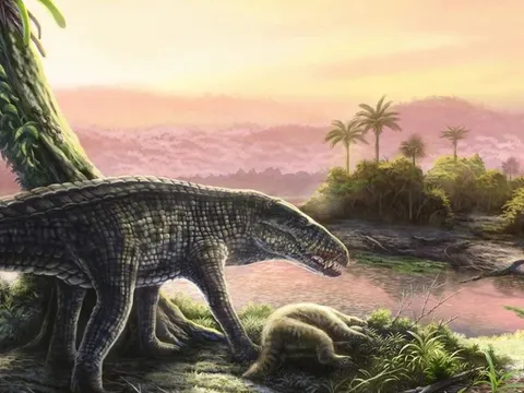 Lộ diện "quái vật ăn thịt đỉnh cao" tại Caribe: Dấu vết của cây cầu cổ nối liền các hòn đảo