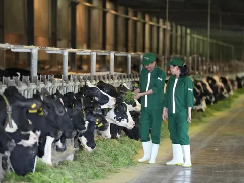 ESG: Chìa khóa cạnh tranh dài hạn của doanh nghiệp xanh