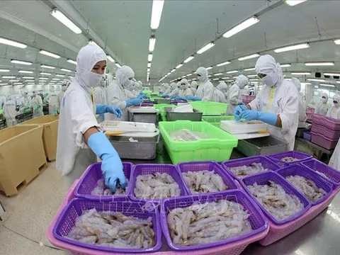 Đoàn công tác của Việt Nam tìm hiểu cơ hội xúc tiến thương mại tại Mỹ
