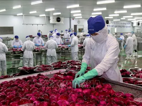 Thành lập Ban Chỉ đạo quốc gia triển khai Nghị quyết số 68-NQ/TW về phát triển kinh tế tư nhân
