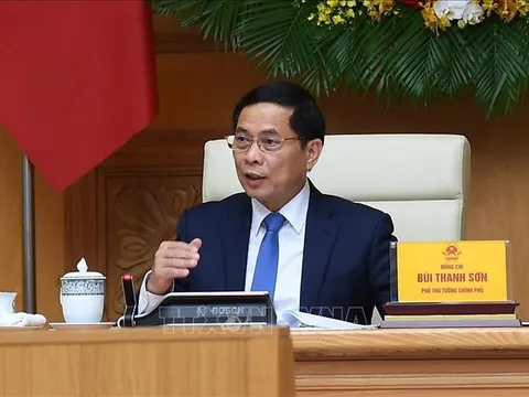 Phó Thủ tướng Bùi Thanh Sơn tiếp chuyên gia, nhà khoa học Tổ chức Khoa học và Chuyên gia Việt Nam toàn cầu