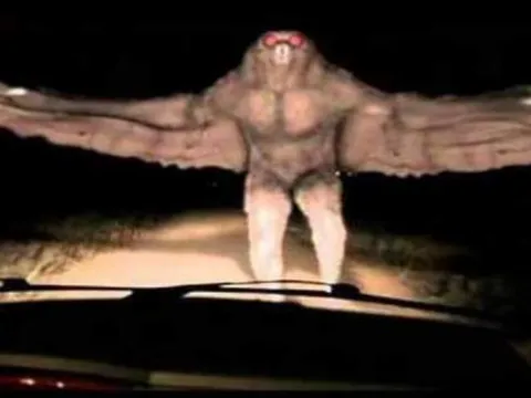 Bí ẩn quái vật Mothman: Truyền thuyết đô thị hay sinh vật chưa được khám phá?