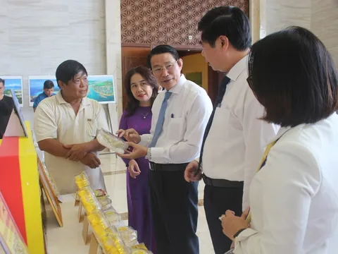 Bình Định hỗ trợ hộ kinh doanh, doanh nghiệp nhỏ và vừa chuyển đổi số 