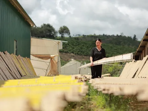 Đam Rông ‘tiếp sức’ các sản phẩm đã được xác lập nhãn hiệu