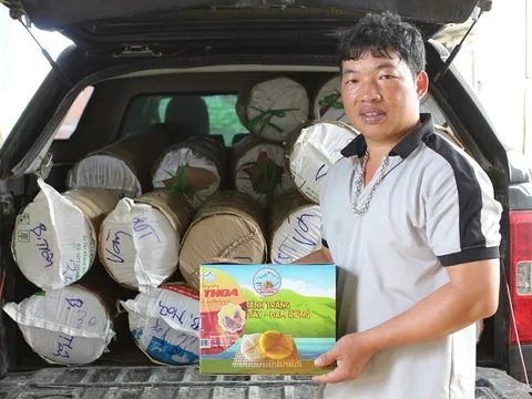 Nhãn hiệu chứng nhận: Đòn bẩy phát triển bền vững cho nông sản Đam Rông