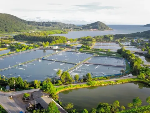 Đánh giá vòng đời LCA: Phương pháp tối ưu hỗ trợ doanh nghiệp thực hành ESG hiệu quả