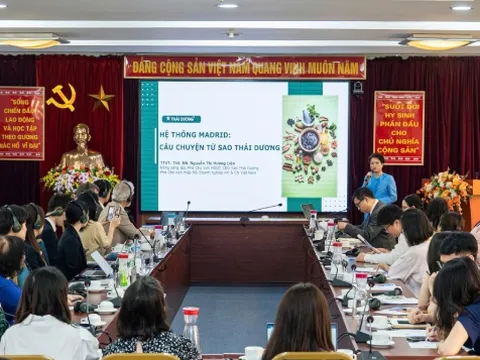 CEO Sao Thái Dương: Thương hiệu Việt tự tin bước ra thế giới nhờ bảo hộ nhãn hiệu Madrid 