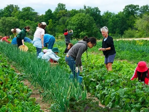 'Gọng kìm' ba chiều từ EU: Doanh nghiệp nông sản, thực phẩm Việt buộc phải chuyển đổi xanh