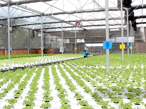 TP Hồ Chí Minh đẩy mạnh liên kết vùng qua Tuần lễ Nông nghiệp Công nghệ cao
