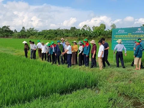 Dự án nông nghiệp tuần hoàn: Xác minh thế nào để doanh nghiệp được vay ưu đãi?

