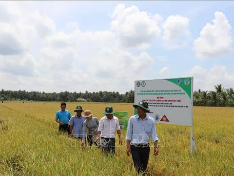 Tài chính xanh cho mục tiêu Net Zero - Bài 1: Đón đầu các nguồn tài chính
