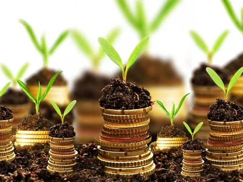 Thị trường tài chính bền vững chờ cú hích chính sách