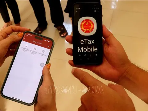 Định danh cá nhân thay mã số thuế: Cơ hội vàng 'làm sạch' dữ liệu
