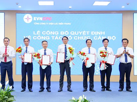 EVNCPC công bố quyết định thành lập 6 công ty điện lực sau sáp nhập
