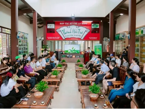 Thái Nguyên: Nông dân La Bằng học cách kể chuyện trà