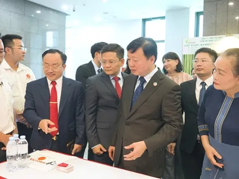 Victoria Motor: Hành trình xanh của một thương hiệu Việt