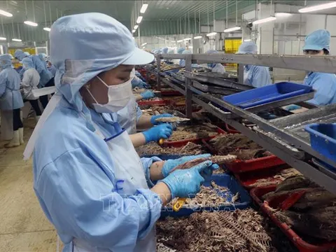 Sau 2 tháng thực hiện Nghị quyết 68, số doanh nghiệp gia nhập thị trường khởi sắc
