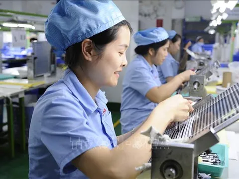 Niềm tin được củng cố, số doanh nghiệp hoạt động trở lại tăng hơn 91%
