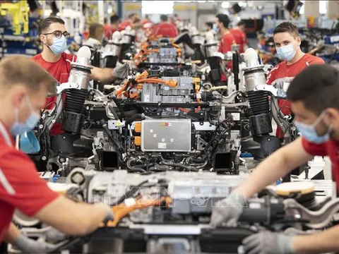 Giới tinh hoa doanh nghiệp Đức và thực tế đằng sau ảo tưởng trọng dụng nhân tài
