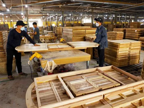 Gỗ và sản phẩm gỗ vào top 5 nhóm hàng xuất siêu nông nghiệp
